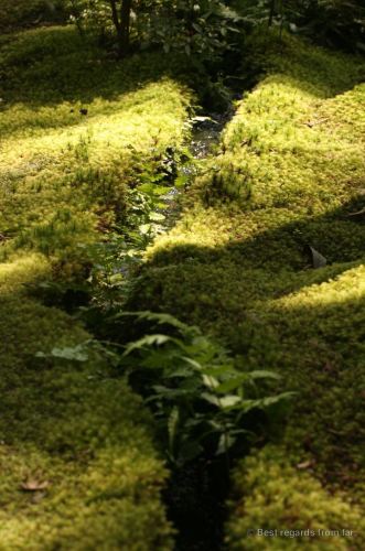 Narrow irrigation channel in Koke-dera, the temple of moss, Kyoto.