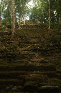 The top structure of the massive pyramid of La Danta, El Mirador, Guatemala