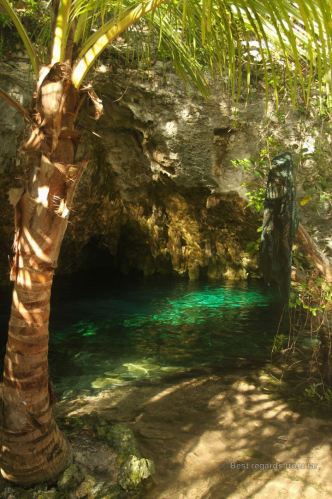 Grand cenote is one of the most beautiful cenotes in the tropical forest