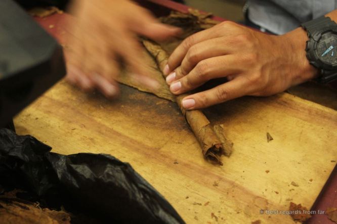 The guy’s job: pre-shaping the cigar, Drew Estate, Esteli, Nicaragua