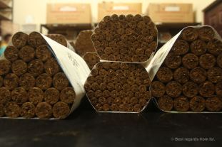Quality-approved cigars in the climate-control storage room, Drew Estate, Esteli, Nicaragua