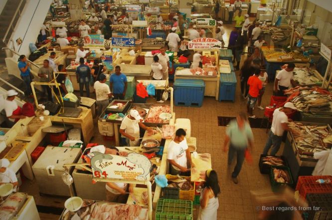 Panama City's vibrant fish market.