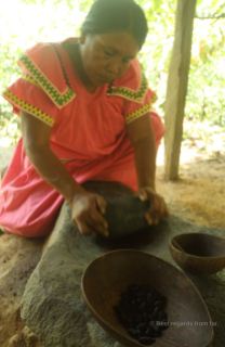 Making the organic cacao, Bocas del Toro, Panama