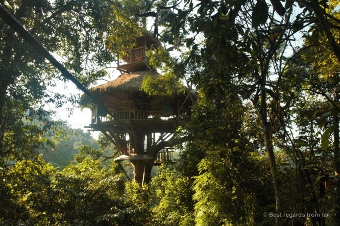 Ziplining into our treehouse (nr. 7), The Gibbon Experience, Laos