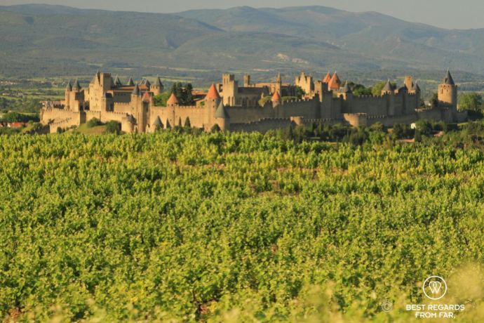 View on the medielva city of Carcassonne from the green vineyards, France