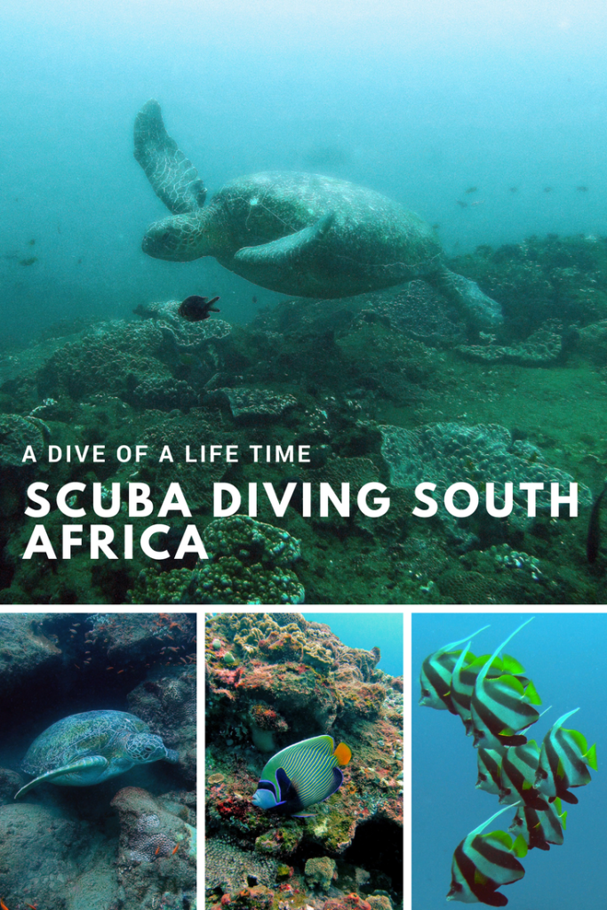 Pin showing underwater photos referring to SCUBA diving Sodwana Bay