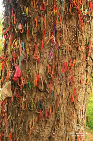 Tree at the killing fields in Cambodia, covered in colorful bracelets.