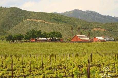 View on the vineyards and rolling hills, Behind the Scenes Wine Tours, California, USA