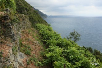 The view from Possa's vineyard in Riomaggiore on the Ligurian Coast, Porto Venere and Cinque Terre!