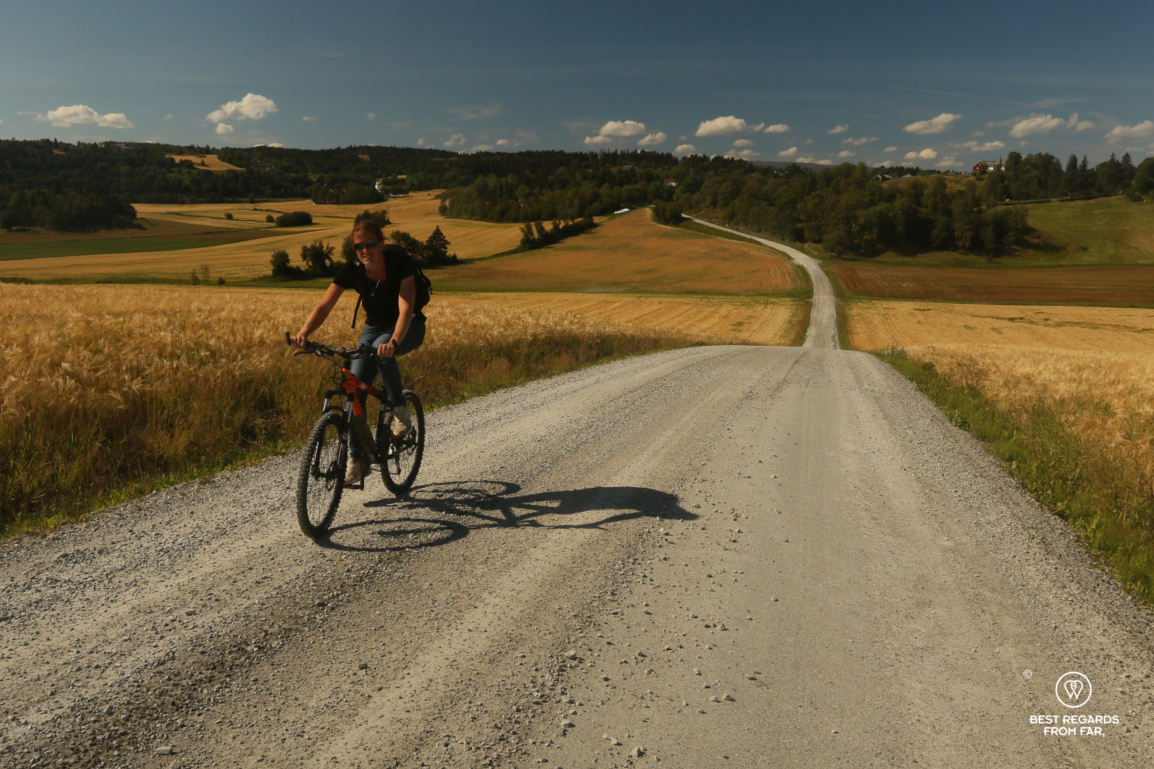 Wheatfileds, biking along the Golden Road, Norway
